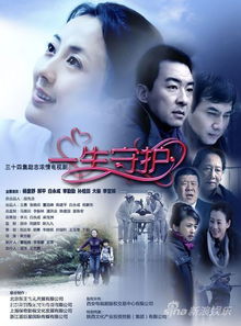 (守护人电视剧50集剧情介绍)守护人连续剧39集：永不止步的护卫之旅