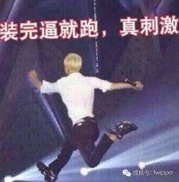 (神医下凡我有七个师姐)神医下山：我有七个师姐，免费在线阅读指南