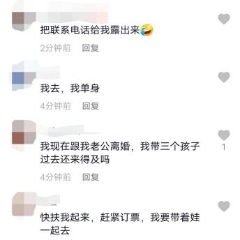 因版权问题引发热议，网剧《萃星物语》为何突然下架？各方反应及影响分析