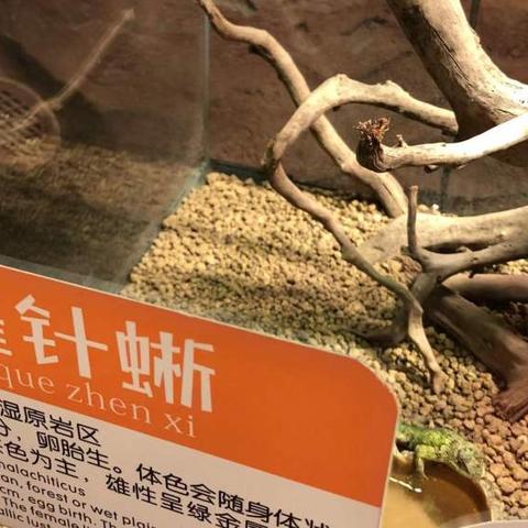 (疯狂动物园客服联系)疯狂动物园客服：提供24小时在线服务，解决您的每一个问题。