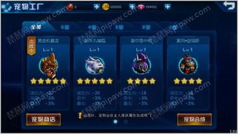 (骑士 随从)如何选择骑士冲关随从？技巧与策略大揭秘!