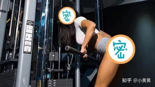 (元气弹是什么玩意儿)元气弹最强：从护肤到健身，让你焕发活力，重拾自信！