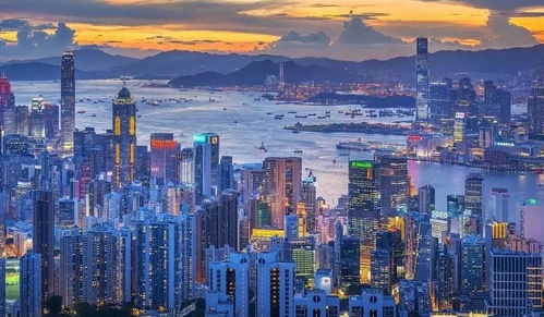 粤港澳大湾区产业联盟：共筑跨境合作新未来，携手共创繁荣发展