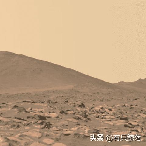 (指尖探索app)探索指尖战车2024官方正版手游的神秘世界 (指尖探索app)探索指尖战车2024官方正版手游的神秘世界